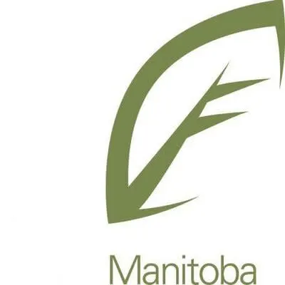 Stylized green leaf Manitoba logo