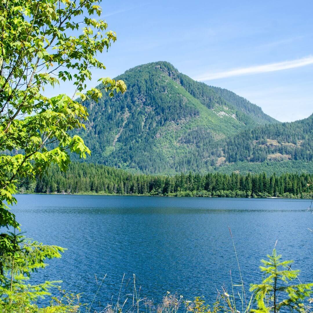 Mountain lake with evergreen trees and blue sky