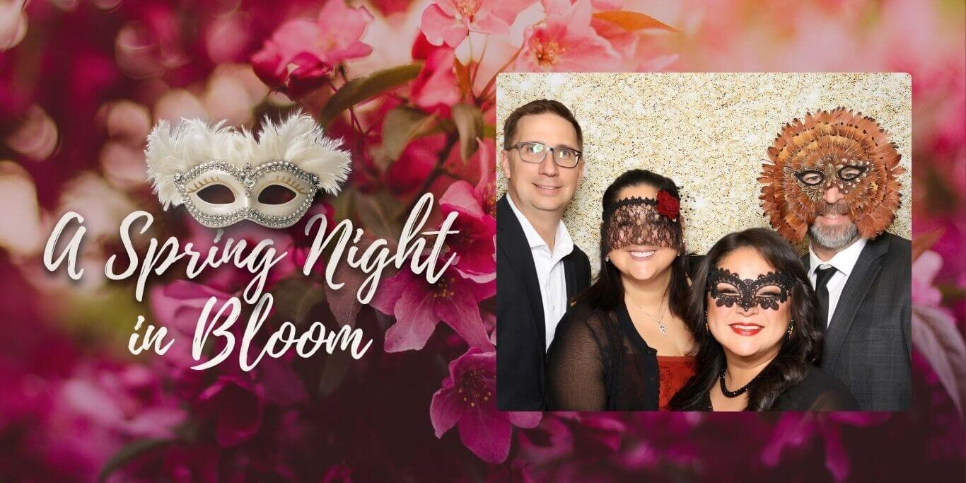 A-Spring-Night-in-bloom-panorama-bcfb135ec060fff826b26036d8bae983-gr524xkcwta3
