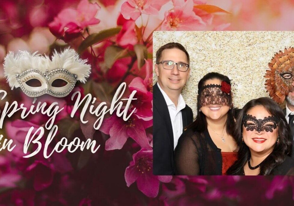 A-Spring-Night-in-bloom-panorama-bcfb135ec060fff826b26036d8bae983-gr524xkcwta3