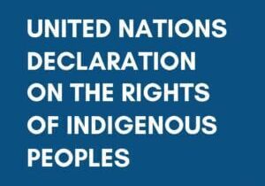 UN Indigenous Rights Document Cover